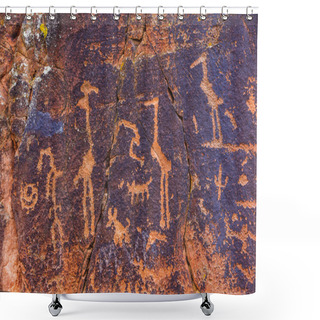 Personality  Petroglyph Birds And Other Symbols Shower Curtains