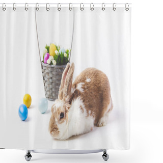 Personality  Painted In Different Colors Easter Eggs With Basket And Bunny, Easter Concept Shower Curtains