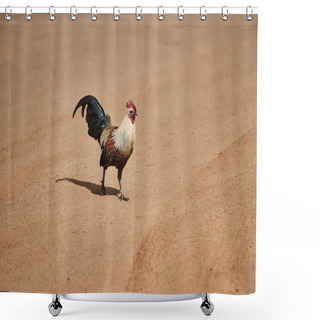 Personality  Proud Rooster Crossing A Sandy Dirt Road On Kauai, Hawaii, USA	 Shower Curtains