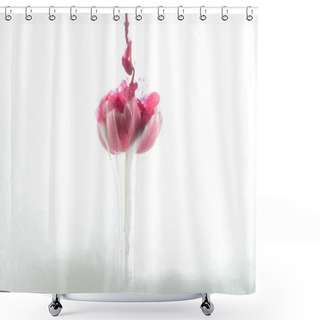Personality  Close Up View Of Pink Flower And Paint Splashes Isolated On White Shower Curtains