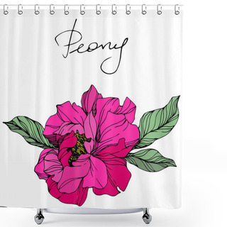 Personality  Vector Pink Peony. Wildflower Isolated On White. Engraved Ink Art With 'peony' Lettering Shower Curtains