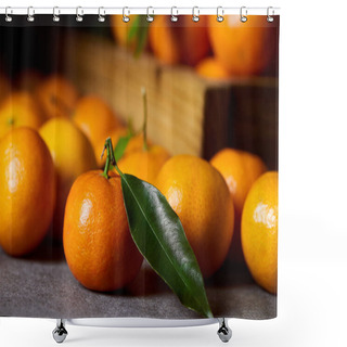 Personality  Selective Focus Of Organic Clementine Near Tangerines With Green Leaves Shower Curtains