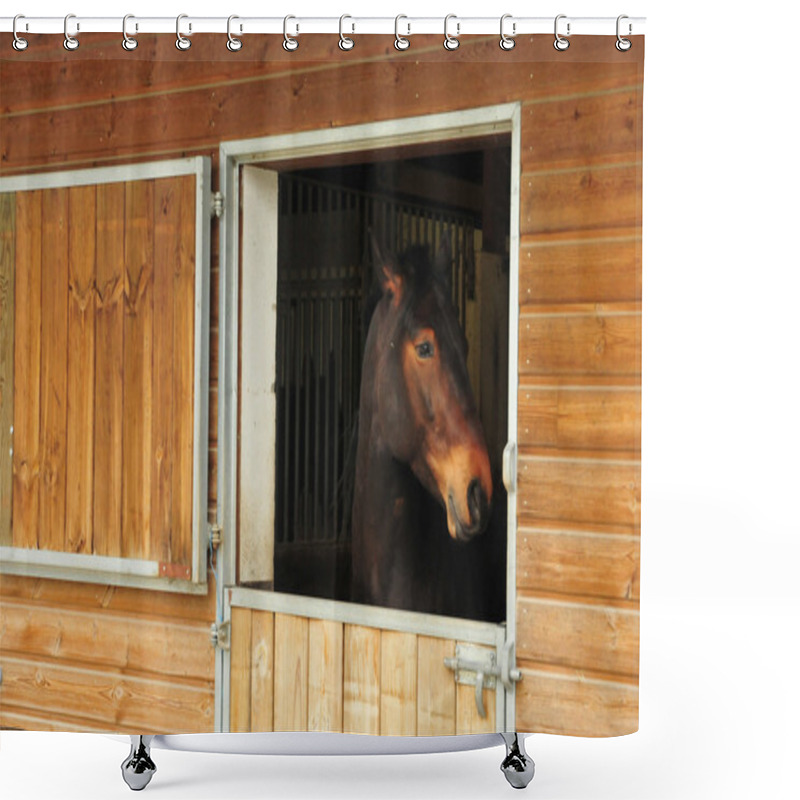 Personality  Verneuil Sur Seine, April 9 2016 : The Equestrian Centre Shower Curtains