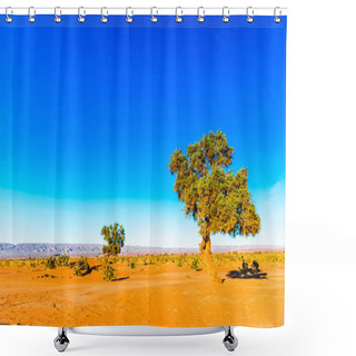 Personality  View On Acacia Tree In The Sahara Desert - Morocco Shower Curtains