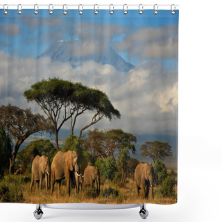 Personality  Elephant Family In Front Of Mt. Kilimanjaro, Kenya Shower Curtains