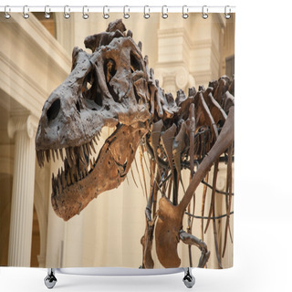 Personality  Dinosaur Shower Curtains