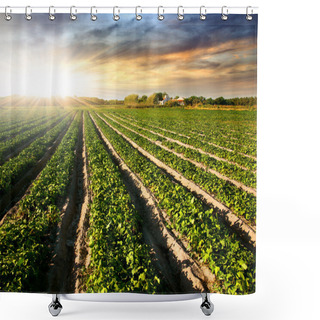 Personality  Cultivated Land Shower Curtains