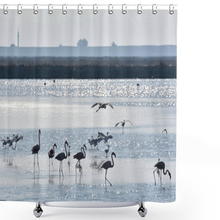 Personality  Birds At Sunset And Photos Of The Bird Skyline Shower Curtains