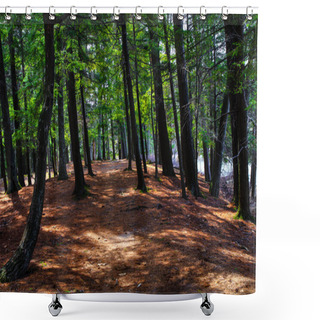 Personality  Walk In The Woods Shower Curtains