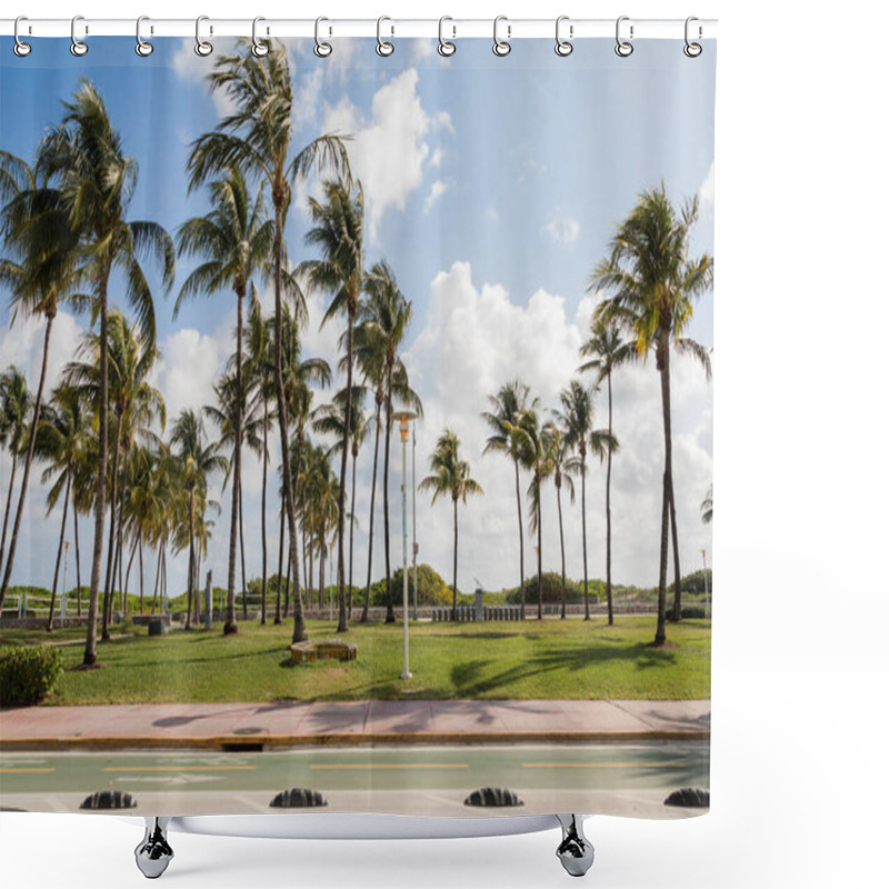 Personality  Green Palm Trees Growing In Modern Park Against Blue Sky In Miami  Shower Curtains