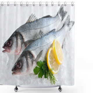 Personality  Seabass (Dicentrarchus Labrax) On Ice Shower Curtains