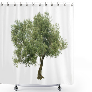Personality  Olive Tree Isolated On White Background Shower Curtains