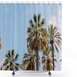 Personality  Lush Palm Trees On Blue Sky Background, Lbarcelona, Spain Shower Curtains