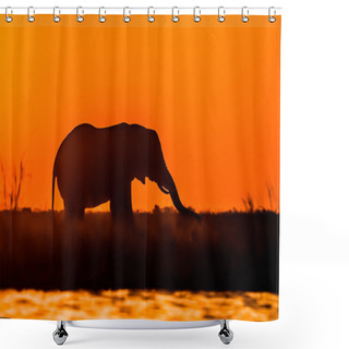 Personality  Elephant At Sunset Shower Curtains