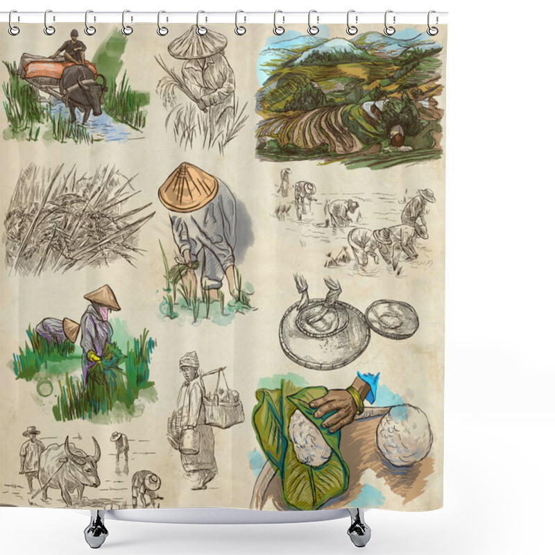 Personality  Rice Crop. Agriculture. An Hand Drawn Illustration. Shower Curtains