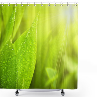 Personality  Gardens Grass With The Lilies Shower Curtains