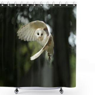 Personality  Close Up Of A Barn Owl Shower Curtains