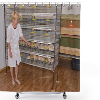 Personality  The Woman-farmer Stands Near A Cage With Quails Shower Curtains