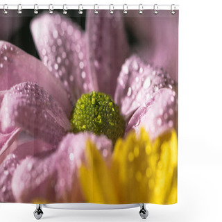 Personality  Close Up View Of Yellow And Violet Daisies With Water Drops Shower Curtains