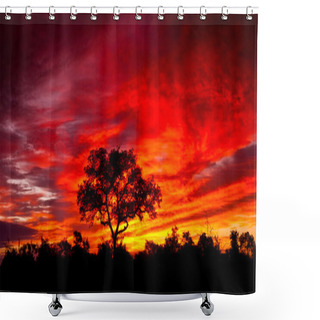 Personality  African Sunset In The Kruger National Park, South Africa Shower Curtains