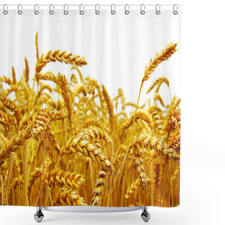 Personality  Wheat Shower Curtains