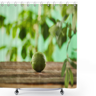 Personality  Selective Focus Of Fresh And Whole Lime On Wooden Surface  Shower Curtains