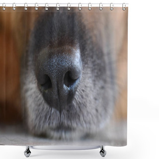 Personality  Black Dog Muzzle Shower Curtains