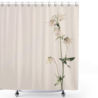 Personality  Columbine Flowers On White Background Shower Curtains