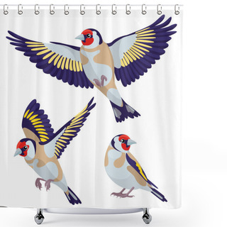 Personality  Goldfinch On White Background Shower Curtains