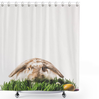 Personality  Rabbit Looking At Camera And Sitting On Grass With Eggs, Easter Concept Shower Curtains