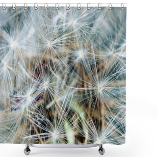 Personality  Dandelion Bracts Closeup Shower Curtains