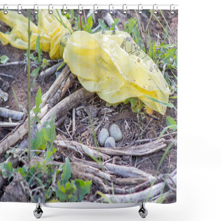 Personality  Sandpiper Eggs On The Ground. Polluted Environment. Polyethylene In The Environment. Shower Curtains