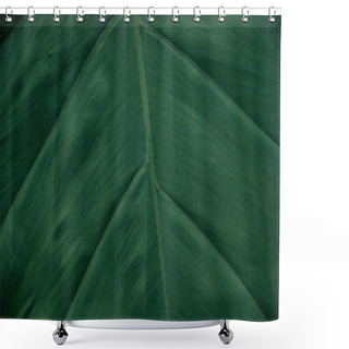 Personality  Close Up View Of Textured Green Leaf With Copy Space Shower Curtains
