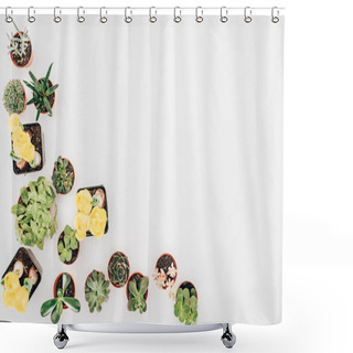 Personality  Top View Of Beautiful Green Plants And Yellow Flowers In Pots Isolated On White  Shower Curtains