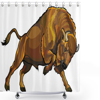 Personality  Wisent Shower Curtains