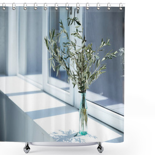 Personality  Bottle With Olive Branches On Window Sill With Shadow  Shower Curtains