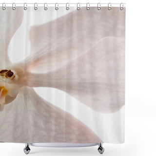 Personality  Close Up View Of Natural Beautiful Orchid Flower Isolated On White Shower Curtains