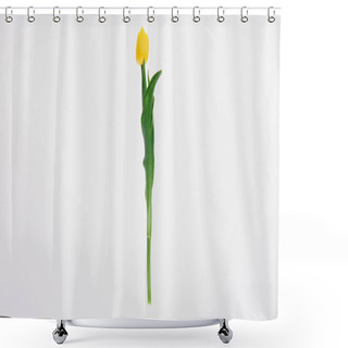 Personality  Beautiful Blooming Yellow Tulip Flower With Green Leaves Isolated On White   Shower Curtains