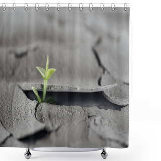Personality  Selective Focus Of Young Green Plant On Cracked Ground Surface, Global Warming Concept Shower Curtains