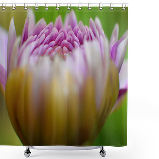Personality  Close Up Of Beautiful Flowers  Shower Curtains