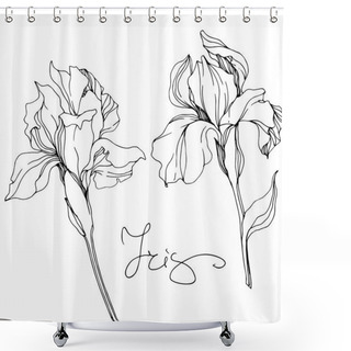 Personality  Vector Monochrome Isolated Irises Illustration On White Background Shower Curtains