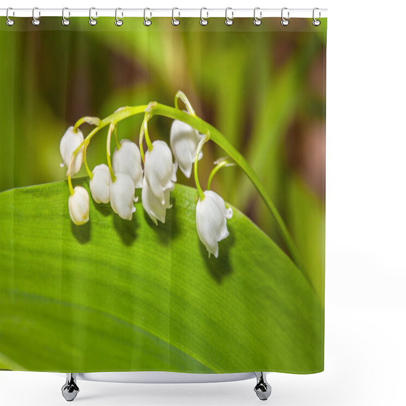 Personality  Lilies Flowers On Green Background Shower Curtains