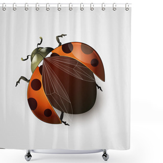 Personality  Vector Illustration Of A Ladybug Shower Curtains