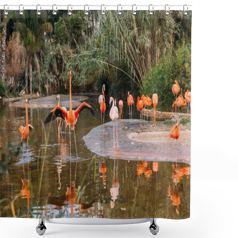 Personality  Flock Of Beautiful Flamingos In Pond Surrounded With Lush Plants In Zoo, Barcelona, Spain Shower Curtains