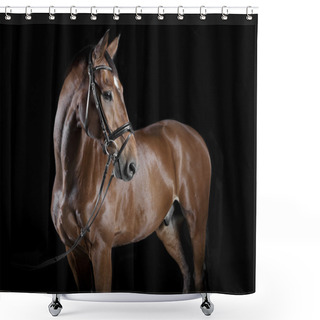Personality  Hungarian Horse Studio Shower Curtains