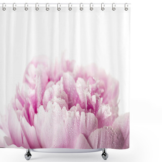 Personality  Pink Peony Flower Isolated On White Background Shower Curtains