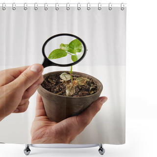 Personality  Close-up Partial View Of Person Holding Magnifying Glass And Green Plant In Pot On Grey  Shower Curtains