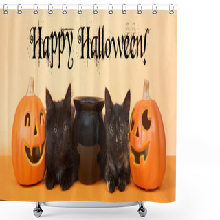 Personality  Two Black Kittens Sitting Next To A Black Cauldron With Pumpkin Jack O Lanterns On Each Side, Orange Background. Banner Format. Happy Halloween Text. Shower Curtains