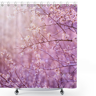 Personality  Cherry Tree Blossom Shower Curtains