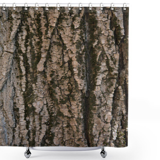 Personality  Tree Bark Texture Shower Curtains